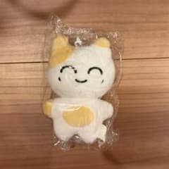 NCT127 テヨン マスタニム ぬいぐるみ 40cm マスター Qoo10] NCT127 テヨン ぬいぐるみ ビッグ