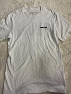 パタゴニア Tシャツのサムネイル