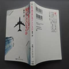 飛行機は誰が飛ばしているのかのサムネイル
