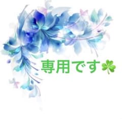 Green様専用✨1️⃣のサムネイル