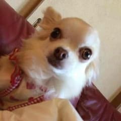 T様専用ページのサムネイル