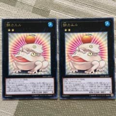 餅カエルのサムネイル