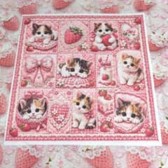未使用 可愛い猫ちゃんパネル生地＆レースいちご柄生地 - メルカリ
