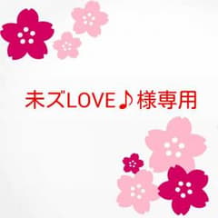 未ズLOVE♪様専用 ネクタイのサムネイル