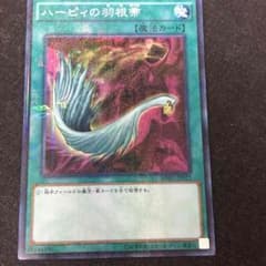 ハーピィの羽根箒のサムネイル