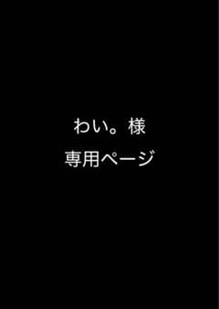 わい。様専用ページのサムネイル