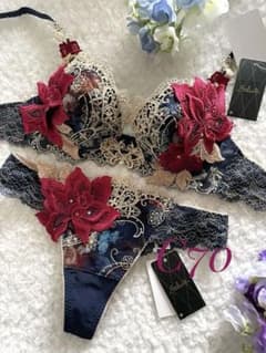 サルート　09グループ⭐️店舗限定⭐️IV⭐️Ｃ70/M⭐️新品タグ付き❗️ アミュプラザ熊本店】サルート新作！70グループ登場♡ - 日本最大級の