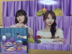 乃木坂46 My respect 通常盤 遠藤さくら 生写真 特典クリアファイル 乃木坂46 My respect 通常盤 遠藤さくら 生写真 特典クリアファイル