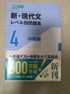 新・現代文レベル別問題集 4 中級編のサムネイル