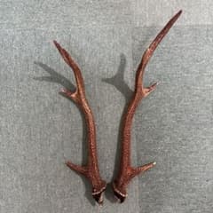 日本鹿の角 左右ペア 約45~50cm 天然素材 ハンドメイド素材　インテリア 日本鹿の角 左右ペア 約45~50cm 天然素材 ハンドメイド素材 インテリア