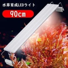 2本★水草育成ライト 高輝度 LED水槽ライト 90cm水槽対応A2272 1本☆水草育成ライト 高輝度 LED水槽ライト 90cm水槽対応A2271 - メルカリ