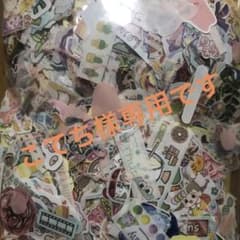 こてち様専用ですのサムネイル