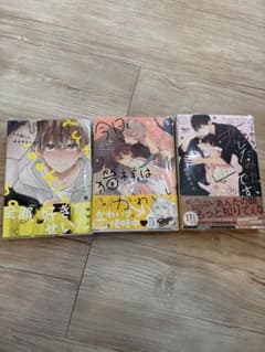 BL漫画　かわいい系3本セット　どうやら恋したみたいですのサムネイル
