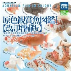 原色観賞魚図鑑のスイホウガンのサムネイル