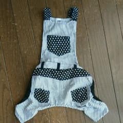 犬服のサムネイル