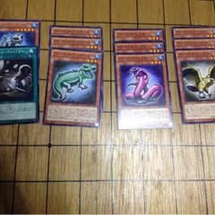 グレイドルセット 遊戯王のサムネイル