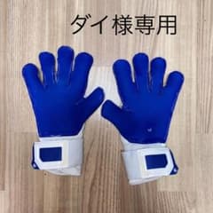 RGキーパーグローブ　スナガアクアのサムネイル