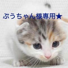 pinky&Dianne  ピンダイ  トートバック★のサムネイル