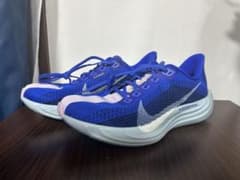 NIKE ペガサスプラス 26cm 値下げ交渉可 - メルカリ
