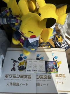 ポケモン天文台 ぬいぐるみ ピカチュウ 3体セット 入場者限定品】ポケモン天文台 ほしぞらピカチュウ 3体おまけ付き