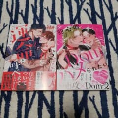 いっそこれを運命と呼べ 1　初心者Domはハメられたいのサムネイル