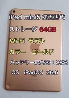 iPad mini5 第5世代 64GB Wi-Fiモデル ゴールド - メルカリ