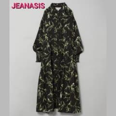 JEANASIS　ジーナシス　クサキガラロングフレアワンピース　ワンピース　新品のサムネイル
