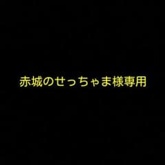 赤城のせっちゃま様専用のサムネイル