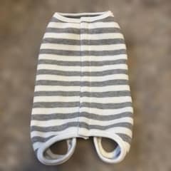 犬用 術後服あったかボーダー柄 ウェアのサムネイル
