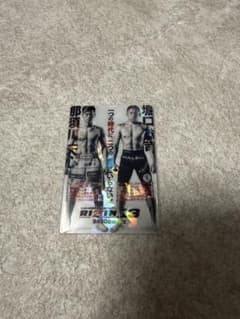 RIZINポテトスティック No.2 RIZIN13のサムネイル