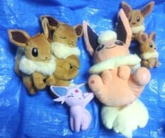 포켓몬 센터 이브이 에피 부스터 봉제인형 마스코트 세트