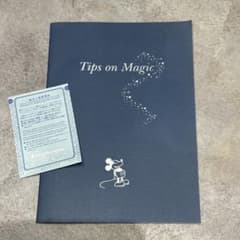 [비매품]Disney Tips on Magic / 우선 입장 정리권