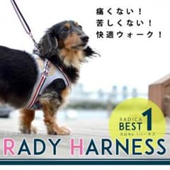 試着のみ美品＊犬用 ウェアハーネスのサムネイル