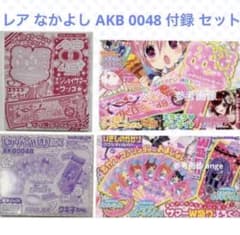 레어 신품 나카요시 부록 AKB0048 펜라이트 센스 타월 브레스