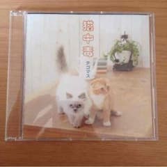 【今だけ値下げ】テゴマス 猫中毒のサムネイル