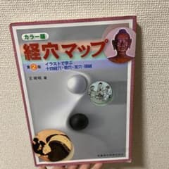 経穴マップ : カラー版 : イラストで学ぶ十四経穴・奇穴・耳穴・頭鍼のサムネイル