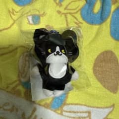 SUPER JUNIOR ぬいぐるみキーホルダー YESUNG イェソン 猫 - メルカリ