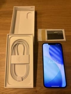 Apple iPhone 본체