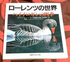 ローレンツの世界 ハイイロガンの四季 大型本 コンラート・ローレンツ