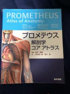 プロメテウス解剖学コアアトラスのサムネイル