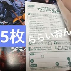 ヤングガンガン 福井梨莉華 サインチェキ 直筆サイン 応募ハガキ 応募