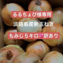 今年初登場★淡路島新玉ねぎ★晩生もみじ★訳あり５キロ★濃厚な旨味★長期保存可能のサムネイル