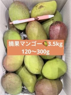 摘果マンゴー　3.5kgのサムネイル
