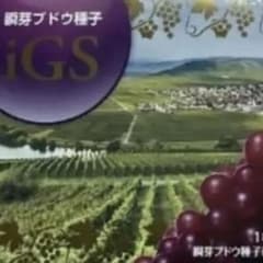 iGS瞬芽ブドウ種子 【値上げ実施中】お試し  ９粒包のサムネイル