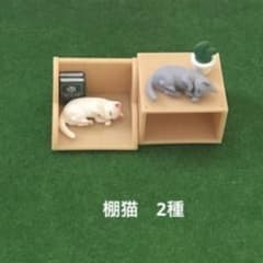 선반 고양이 2종