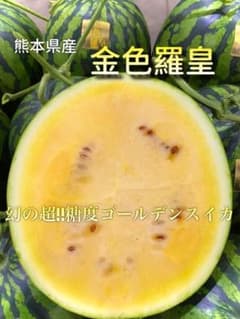 熊本県産 金色羅王 大玉 1玉10kg 糖度14度前後 - メルカリ