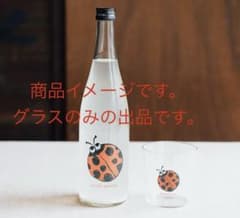 m15670482016_1.jpg?1731726751