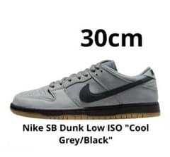 Nike SB Dunk Low ISO 