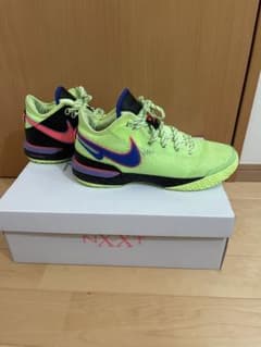 NIKE ZOOM LEBRON NXXT GEN EP US 11 29cmのサムネイル