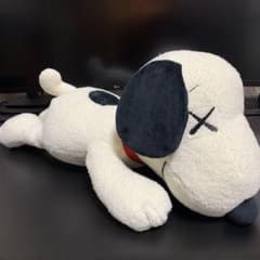 m15674166371_1.jpg?1729424004